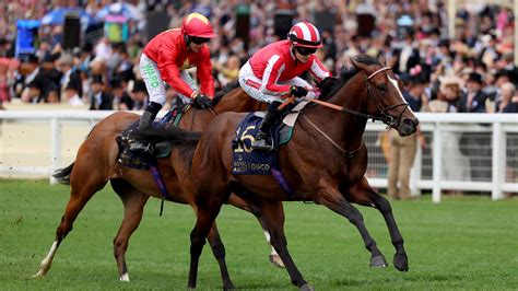 king's stand stakes stats|Full Result .